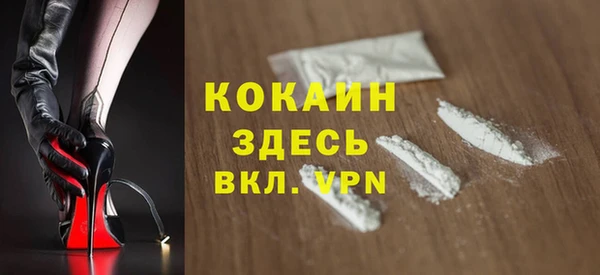 дмт Арсеньев
