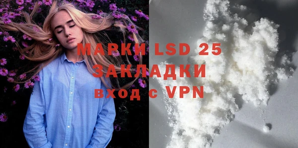 spice Аркадак