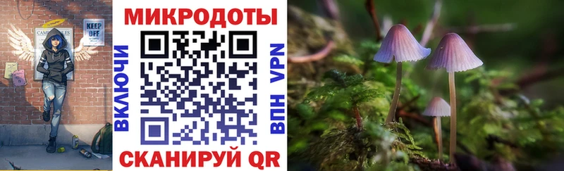 Купить где  Каменск-Шахтинский  Галлюциногенные грибы MAGIC MUSHROOMS 